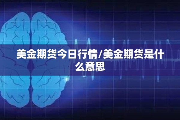 美金期货今日行情/美金期货是什么意思
