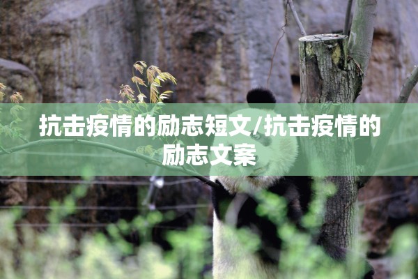 银河期货行情软件:银河期货软件下载