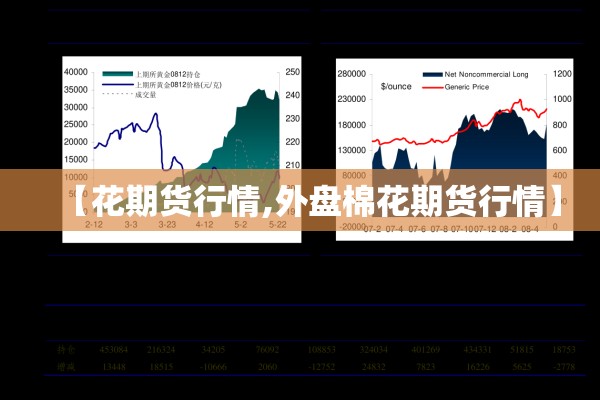 深圳国际纳指期货行情/第16届中国深圳国际期货大会