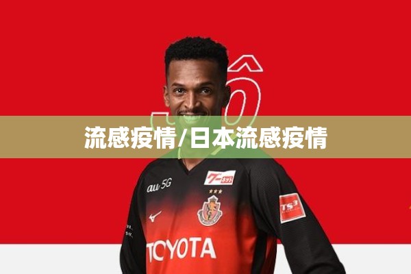 流感疫情/日本流感疫情