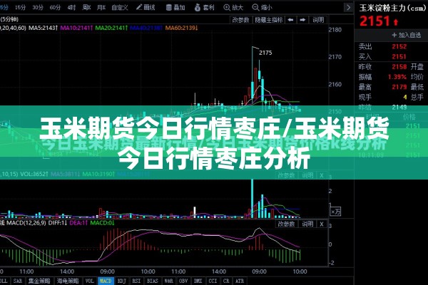 玉米期货今日行情枣庄/玉米期货今日行情枣庄分析