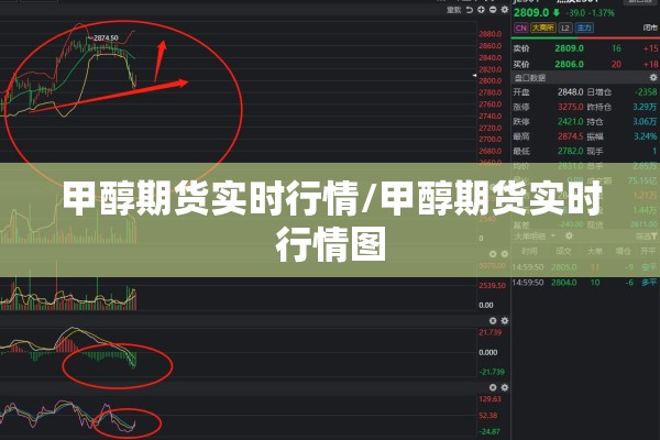甲醇期货实时行情/甲醇期货实时行情图