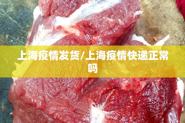 上海疫情发货/上海疫情快递正常吗