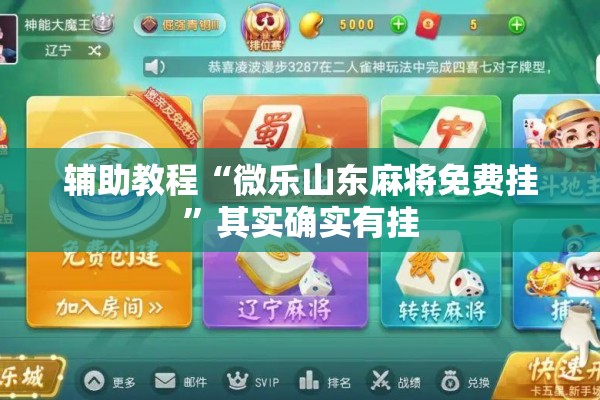 辅助教程“微乐山东麻将免费挂	”其实确实有挂