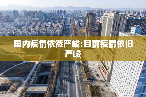 国内疫情依然严峻:目前疫情依旧严峻