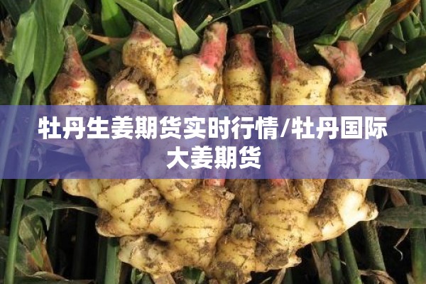 废旧油脂期货价格行情/废弃食用油脂回收今日价格
