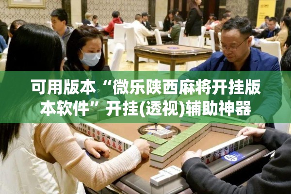 安装程序教程“心悦填大坑辅助器下载”开挂辅助脚本+详细开挂安装教程