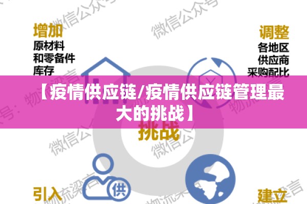【疫情供应链/疫情供应链管理最大的挑战】 【疫情供应链/疫情供应链管理最大的挑战】