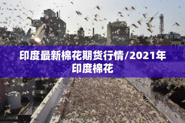 【胡椒期货行情,今日胡椒今日价格】