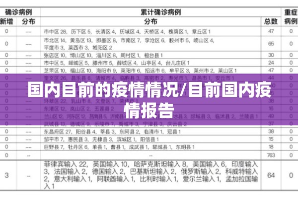 国内目前的疫情情况/目前国内疫情报告