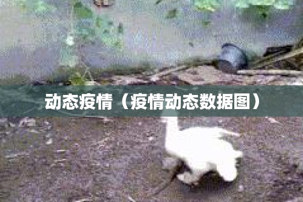 动态疫情（疫情动态数据图）