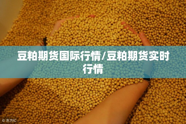 豆粕期货国际行情/豆粕期货实时行情 豆粕期货国际行情/豆粕期货实时行情