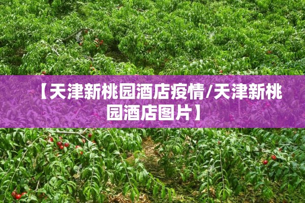 【天津新桃园酒店疫情/天津新桃园酒店图片】