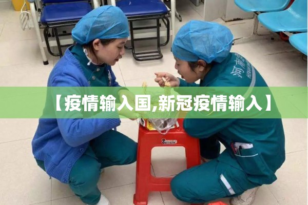 【疫情输入国,新冠疫情输入】