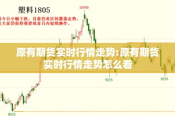 【防控疫情学生心理疏导/疫情期间学生心理健康疏导方案】