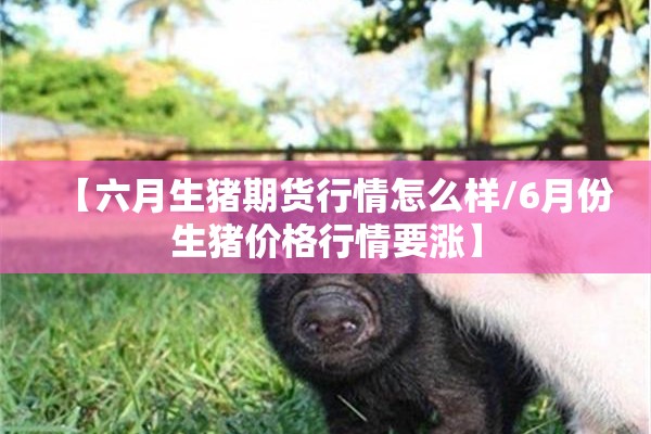 【防控疫情学生心理疏导/疫情期间学生心理健康疏导方案】