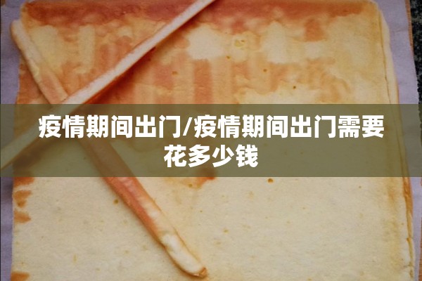 疫情期间出门/疫情期间出门需要花多少钱 疫情期间出门/疫情期间出门需要花多少钱