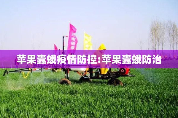 西安轻工市场有疫情吗:西安轻工市场地图