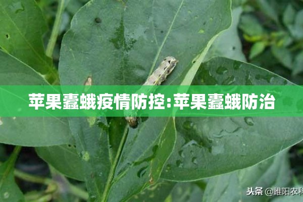 苹果蠹蛾疫情防控:苹果蠹蛾防治 苹果蠹蛾疫情防控:苹果蠹蛾防治