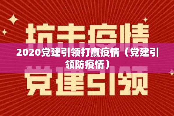 2020党建引领打赢疫情（党建引领防疫情）