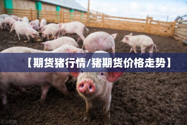 经济与疫情:疫情与经济危机