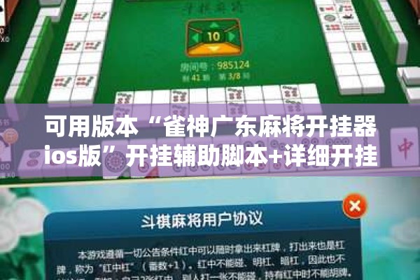 可用版本“雀神广东麻将开挂器ios版”开挂辅助脚本+详细开挂安装教程