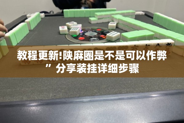 教程更新!陕麻圈是不是可以作弊”分享装挂详细步骤