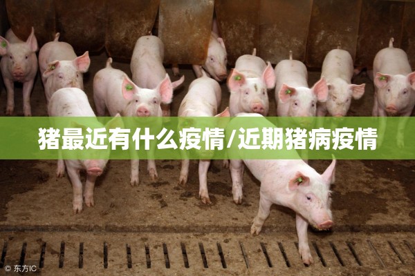 猪最近有什么疫情/近期猪病疫情