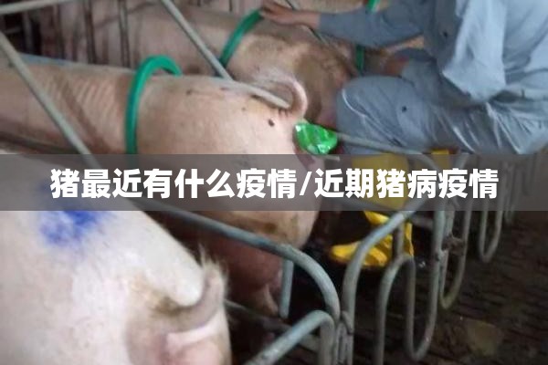 疫情防控培训:疫情防控培训记录内容