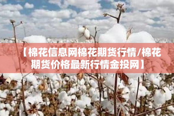 中国非洲猪瘟最新疫情/中国非洲猪瘟最新进展