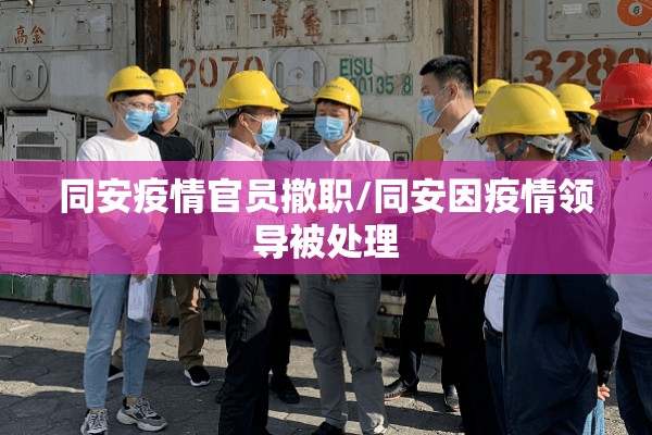 可用版本“雀神广东麻将开挂视频教程!辅助神器插件下载