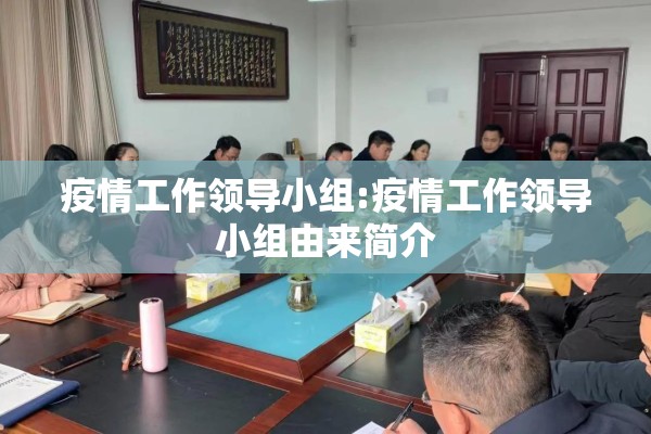 疫情工作领导小组:疫情工作领导小组由来简介