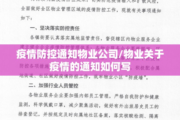【今日棉花期货价格行情,今日棉花期货什么价格】