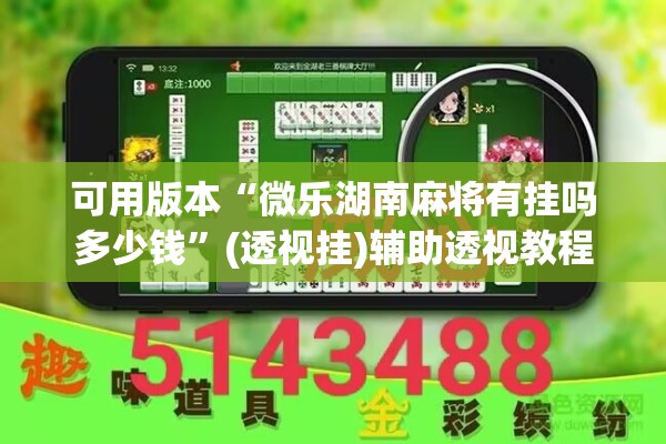 辅助教程“微乐陕西三代控制器”分享装挂详细步骤
