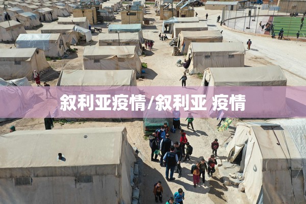 叙利亚疫情/叙利亚 疫情