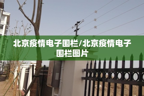 【顺德疫情,顺德疫情实时动态】