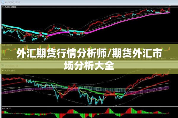 外汇期货行情分析师/期货外汇市场分析大全