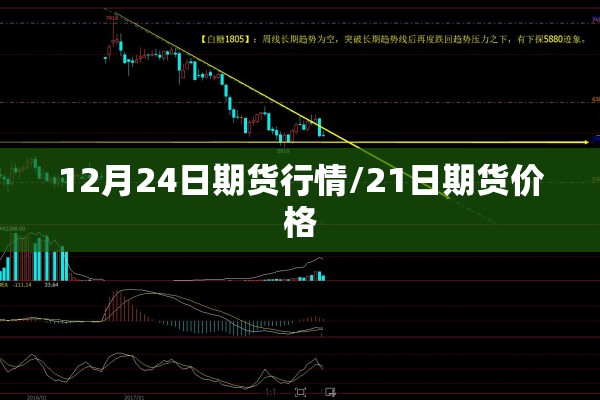 12月24日期货行情/21日期货价格