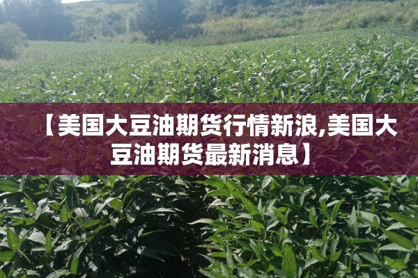 【美国大豆油期货行情新浪,美国大豆油期货最新消息】 【美国大豆油期货行情新浪,美国大豆油期货最新消息】