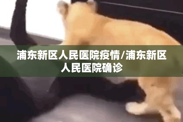 乡镇疫情应急预案/乡镇疫情防控应急处置预案