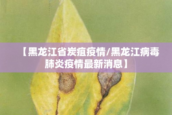 教程更新!开心联盟斗牛开挂教程”开挂(透视)辅助神器