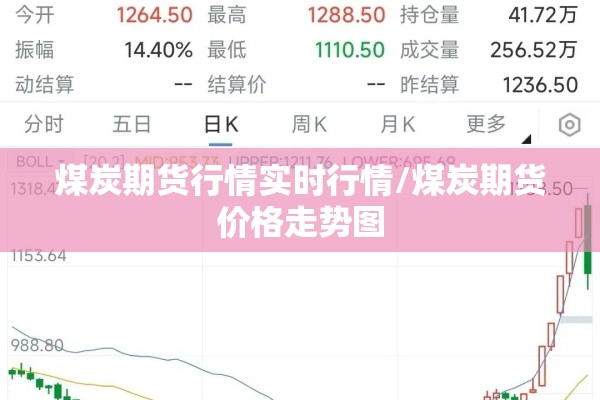 煤炭期货行情实时行情/煤炭期货价格走势图