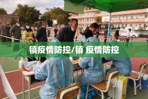 镇疫情防控/镇 疫情防控