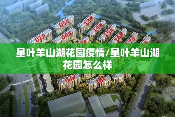 【自新冠疫情爆发以来/自新冠疫情爆发以来英文】
