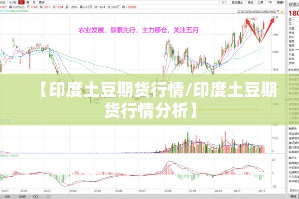 安装程序教程“微乐小程序开挂”(透视挂)辅助透视教程