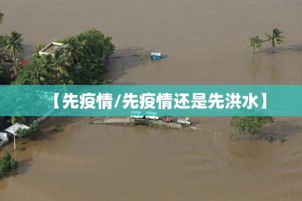 【先疫情/先疫情还是先洪水】 【先疫情/先疫情还是先洪水】