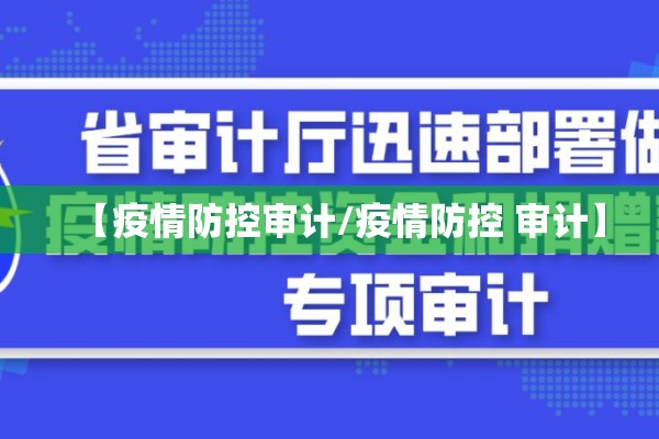 【疫情防控审计/疫情防控 审计】