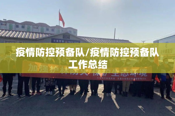 疫情防控预备队/疫情防控预备队工作总结