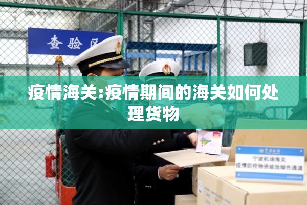 疫情海关:疫情期间的海关如何处理货物