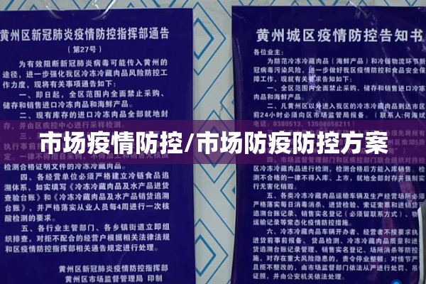 疫情期间上网课/疫情期间上网课的视频